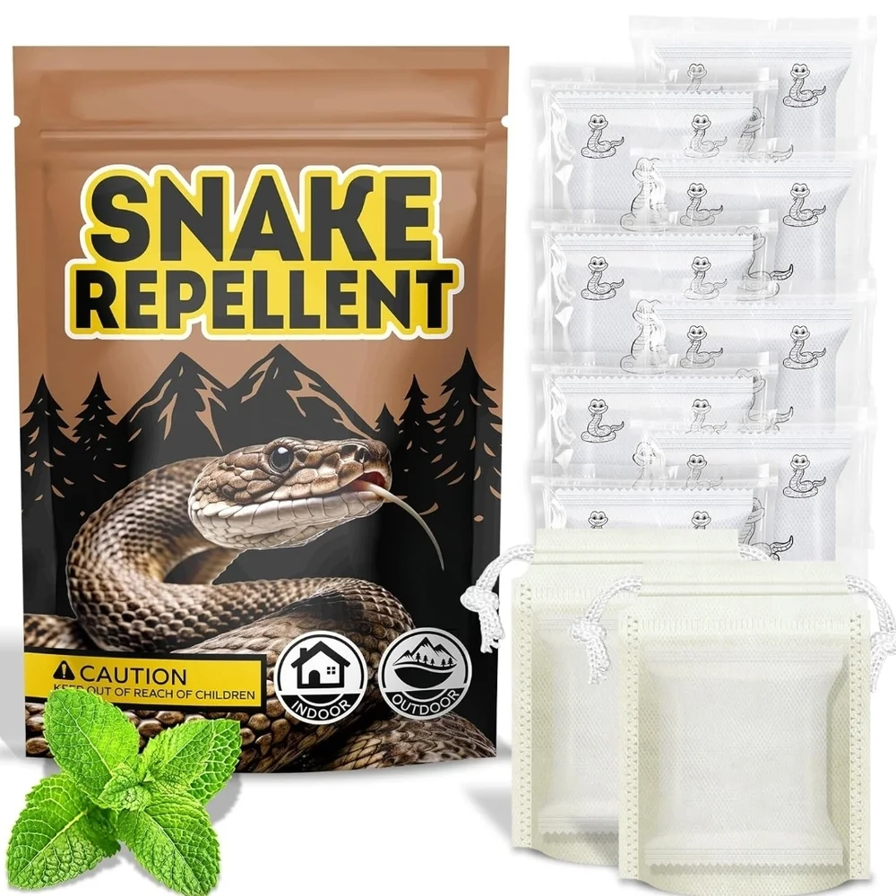 Brown Reptile Habitat Maintenance Essentials
